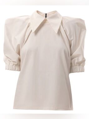 Puff Sleeve Blouse